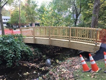 Besson Park Pedestrian Bridge